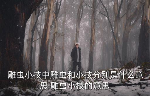 雕蟲小技,雕蟲小技由"雕蟲篆"發展而來