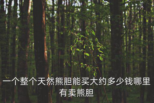 一個(gè)整個(gè)天然熊膽能買大約多少錢哪里有賣熊膽