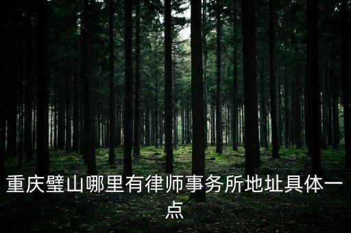 重慶璧山哪里有律師事務所地址具體一點