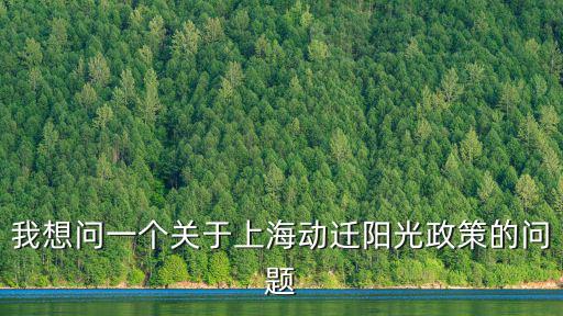 我想問一個關于上海動遷陽光政策的問題