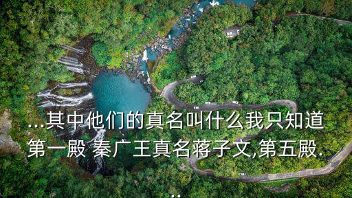 秦廣王,秦廣王如何通過三擊夢里無雙找到自己