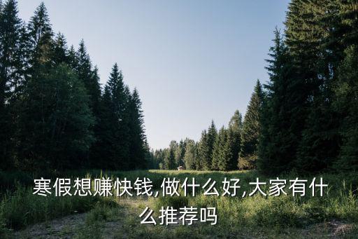  寒假想賺快錢,做什么好,大家有什么推薦嗎