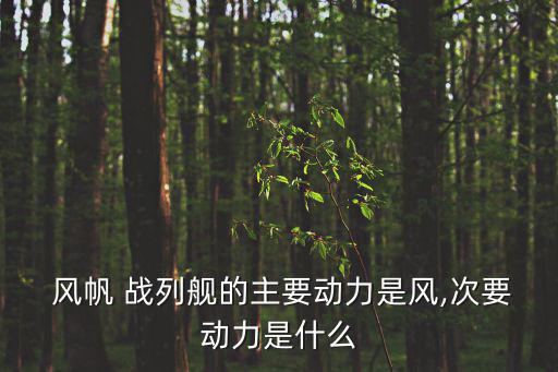  風帆 戰列艦的主要動力是風,次要動力是什么