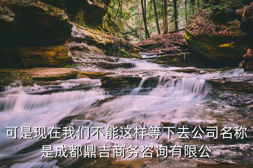 可是現在我們不能這樣等下去公司名稱是成都鼎吉商務咨詢有限公