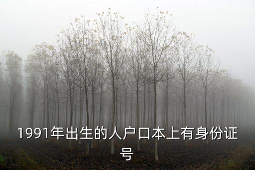 1991年出生的人戶口本上有身份證號