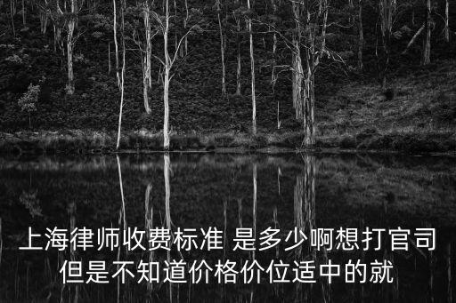 上海律師收費標準 是多少啊想打官司但是不知道價格價位適中的就