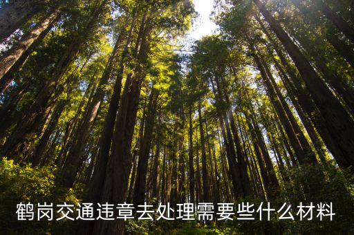 鶴崗交通違章去處理需要些什么材料