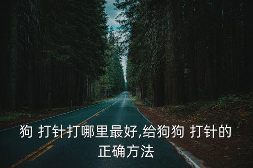 狗 打針打哪里最好,給狗狗 打針的正確方法