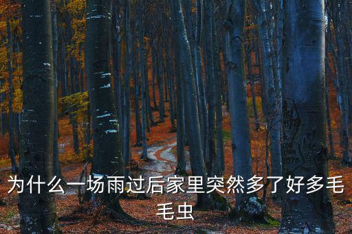 為什么一場雨過后家里突然多了好多毛毛蟲