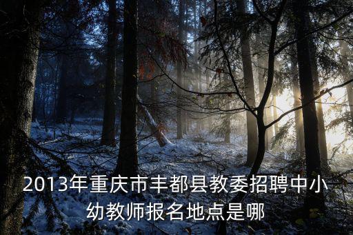 2013年重慶市豐都縣教委招聘中小幼教師報(bào)名地點(diǎn)是哪