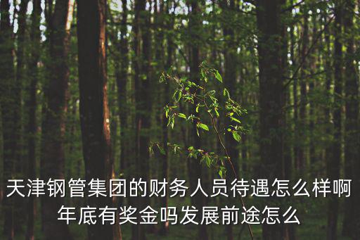 天津鋼管集團的財務人員待遇怎么樣啊年底有獎金嗎發展前途怎么