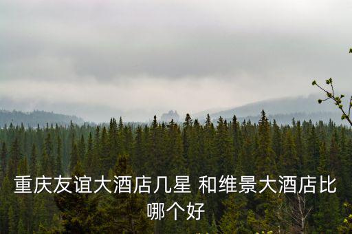 重慶市友誼賓館，重慶友誼大酒店幾星 和維景大酒店比哪個好