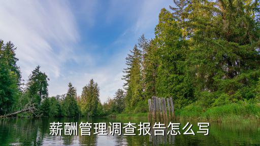 薪酬管理調查報告怎么寫