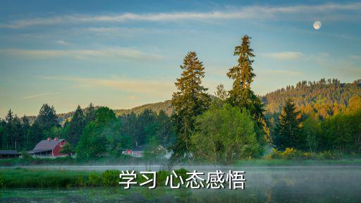  學習 心態感悟