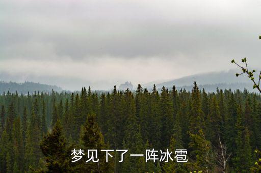 夢見下了一陣冰雹