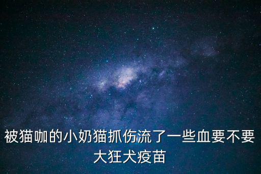 被貓咖的小奶貓抓傷流了一些血要不要大狂犬疫苗