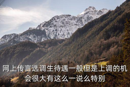 網上傳言選調生待遇一般但是上調的機會很大有這么一說么特別