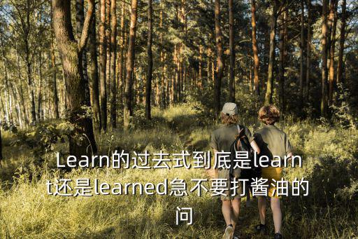 Learn的過去式到底是learnt還是learned急不要打醬油的  問