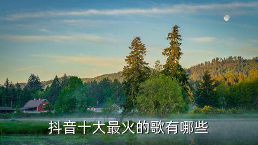 抖音十大最火的歌有哪些