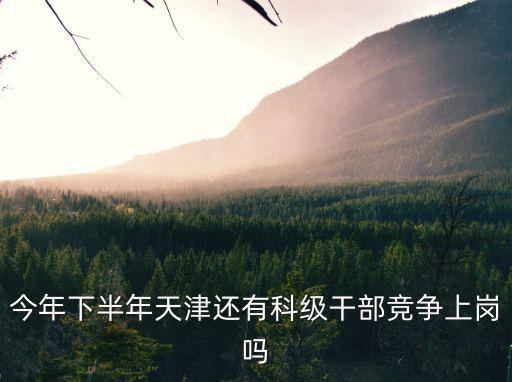 今年下半年天津還有科級干部競爭上崗嗎
