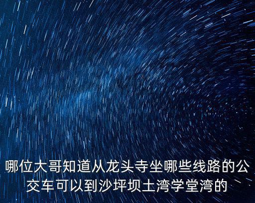 哪位大哥知道從龍頭寺坐哪些線路的公交車可以到沙坪壩土灣學堂灣的