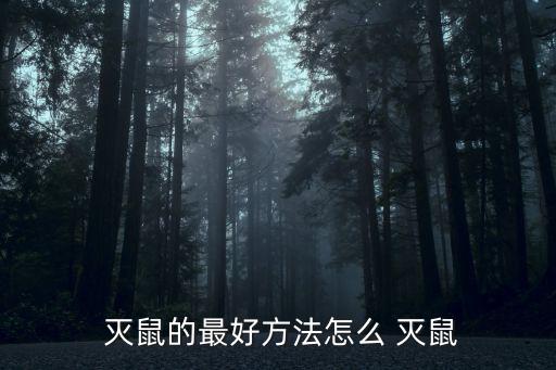 滅鼠,如何最快最有效滅鼠