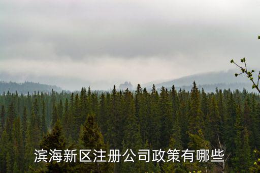 濱海新區(qū)注冊(cè)公司政策有哪些