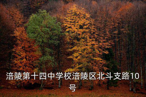 重慶市涪陵十中學校宣傳片，涪陵那個中學最好