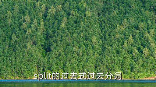 split的過去式過去分詞