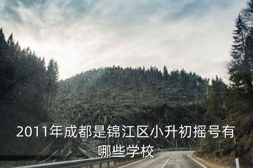 2011年成都是錦江區小升初搖號有哪些學校
