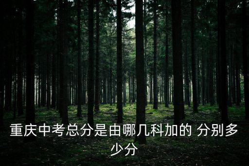 重慶中考總分是由哪幾科加的 分別多少分