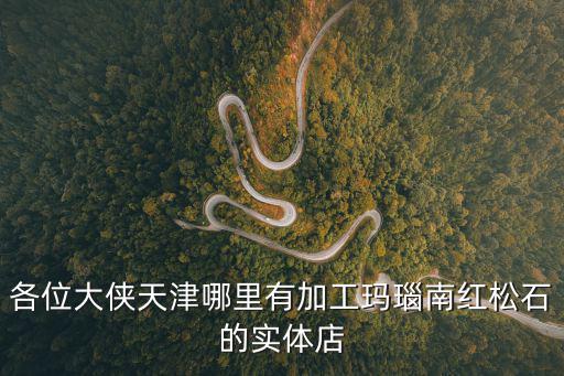 各位大俠天津哪里有加工瑪瑙南紅松石的實體店