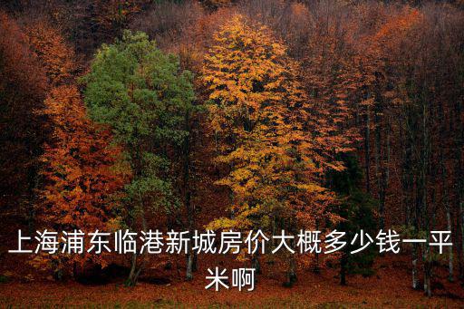 上海浦東臨港新城房價大概多少錢一平米啊