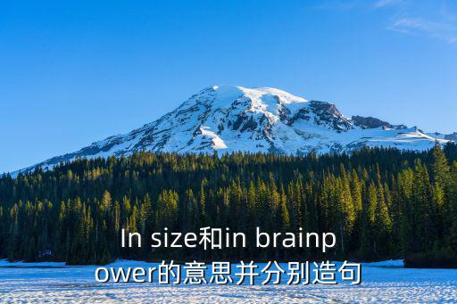 In size和in brainpower的意思并分別造句