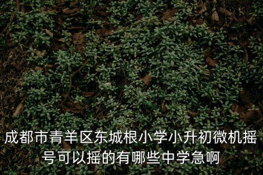 成都市青羊區東城根小學小升初微機搖號可以搖的有哪些中學急啊
