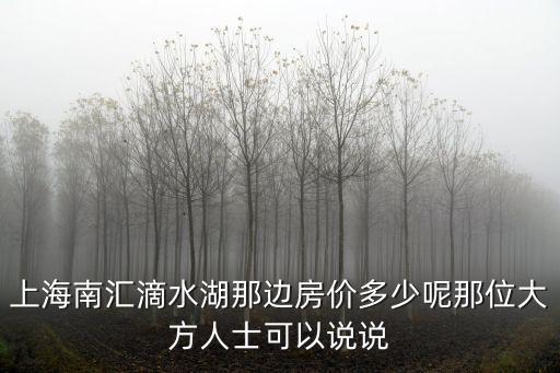 上海滴水湖新開樓盤有哪些，上海南匯滴水湖那邊房價多少呢那位大方人士可以說說