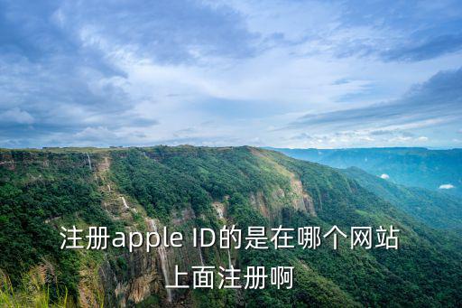 注冊apple ID的是在哪個網站上面注冊啊