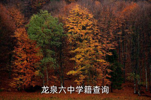 龍泉六中學(xué)籍查詢