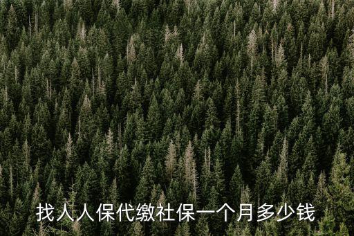找人人保代繳社保一個月多少錢