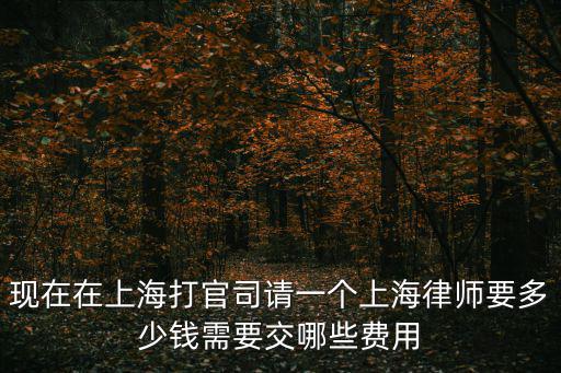 現(xiàn)在在上海打官司請一個上海律師要多少錢需要交哪些費用
