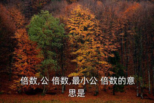  倍數(shù),公 倍數(shù),最小公 倍數(shù)的意思是