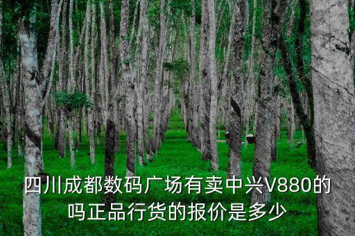 成都市哪里有賣中興皮卡汽車，在成都哪有中興U500賣