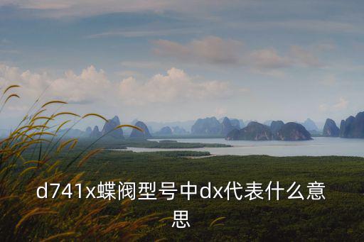 d741x蝶閥型號中dx代表什么意思