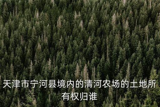 天津市寧河縣境內的清河農場的土地所有權歸誰