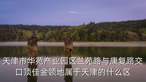 天津市華苑產業園區蘭苑路與康復路交口頂佳金領地屬于天津的什么區