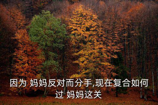 媽媽的屈服,選擇自由意志堅定向媽媽表達我的決心