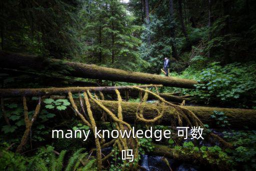 many knowledge 可數嗎