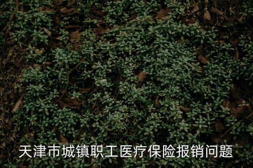 天津市城鎮(zhèn)職工醫(yī)療保險報銷問題