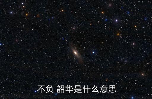  不負(fù) 韶華是什么意思