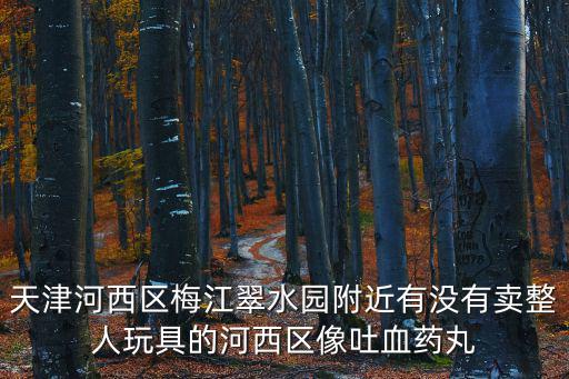 天津河西區梅江翠水園附近有沒有賣整人玩具的河西區像吐血藥丸